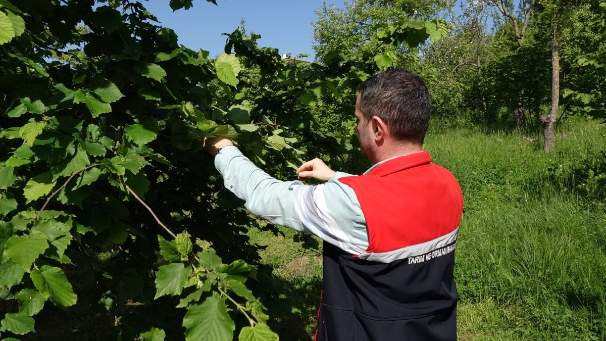 karadeniz-bolgesi-topyekun-karsi-taarruza-gececek-kimyasal-biyolojik-ugras-yetersiz-kaldi-20-bin-bubi-idLHpPHt.jpg