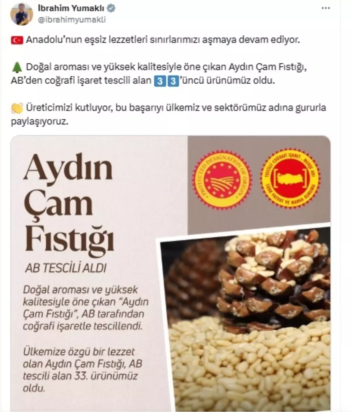 aydin-cam-fistigi-abden-cografik-isaret-tescili-aldi-KaBjDPqy.jpg