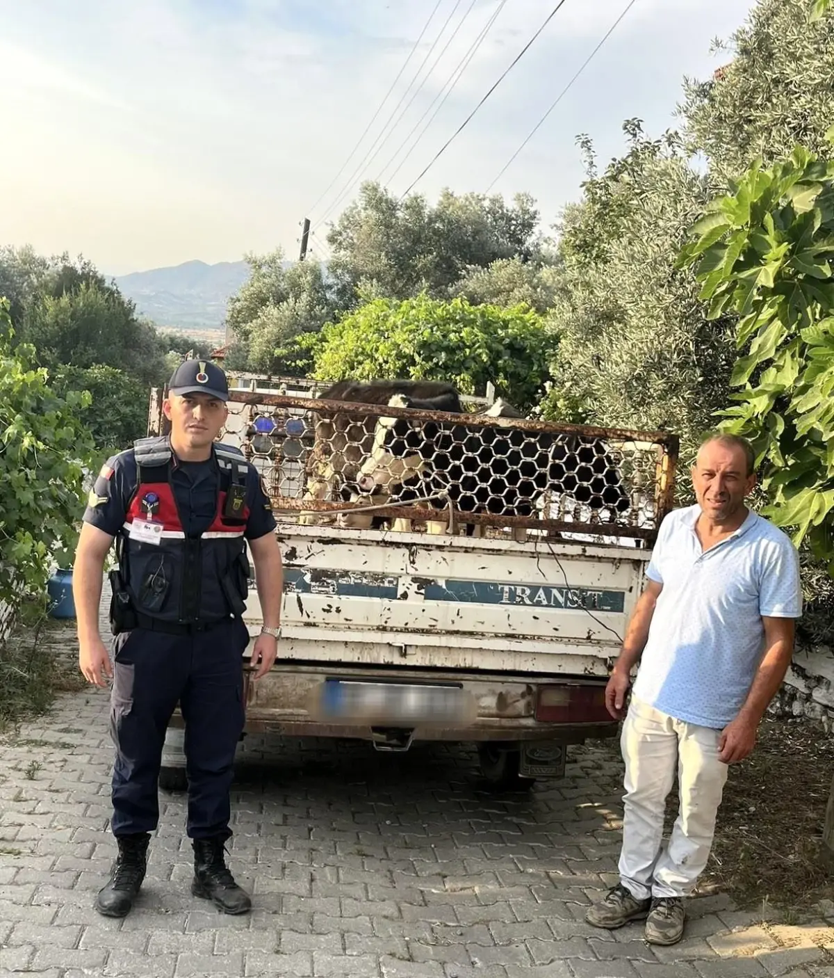aydinda-calinan-buyukbas-hayvanlar-bulundu-ve-sahibine-teslim-edildi-RBDl7zzC.jpg