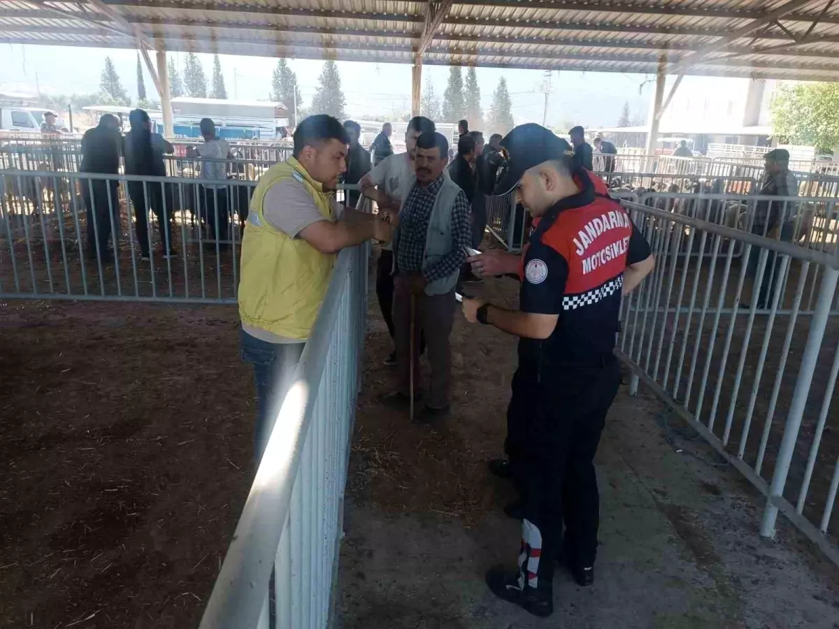 aydinda-kurban-bayrami-oncesi-hayvan-pazarinda-guvenlik-kontrolleri-hDshbGI1.jpg