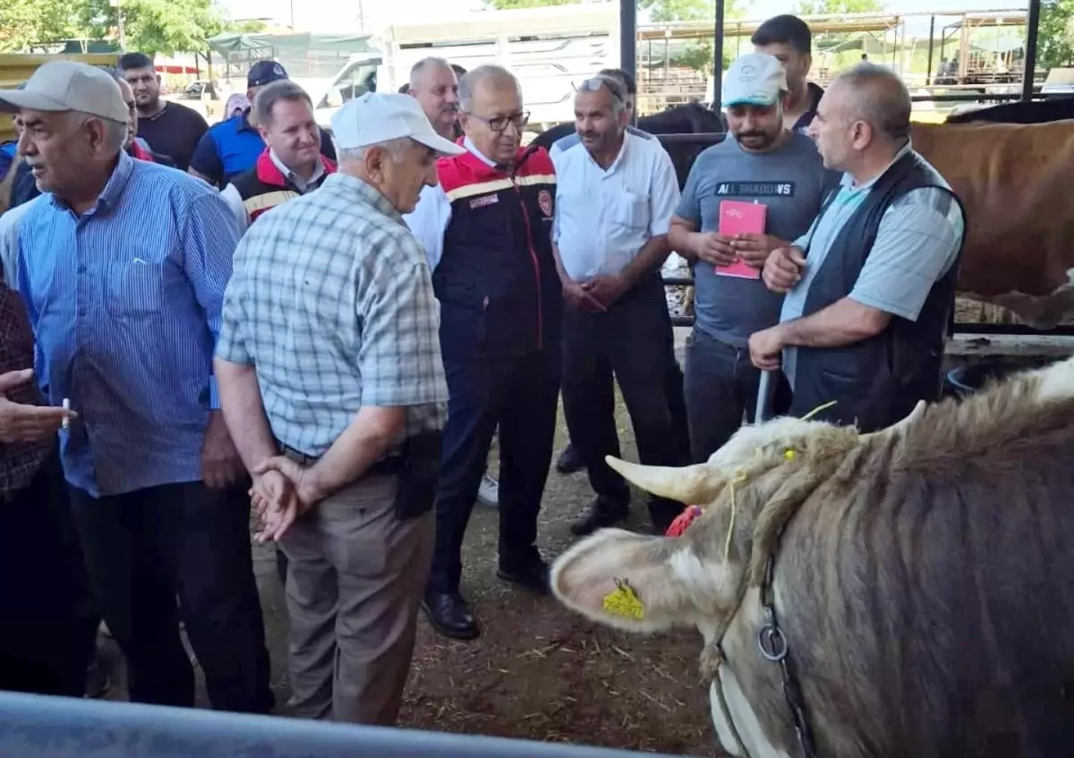 aydinda-kurban-bayrami-oncesi-kontroller-artirildi-QfzPM4QE.jpg