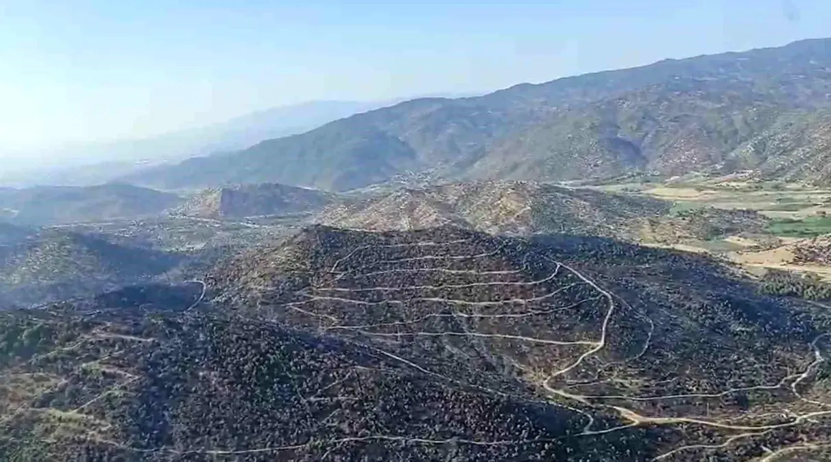 aydinda-tarim-topraginda-baslayan-yangin-denetim-altina-alindi-mmRsmcga.jpg