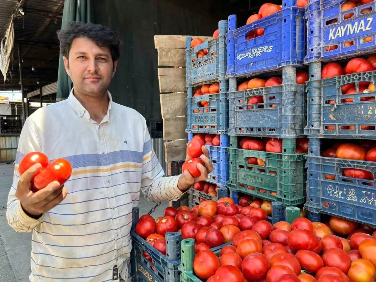 aydinda-yerli-tarla-domatesi-satisa-cikti-n74lRbsL.jpg