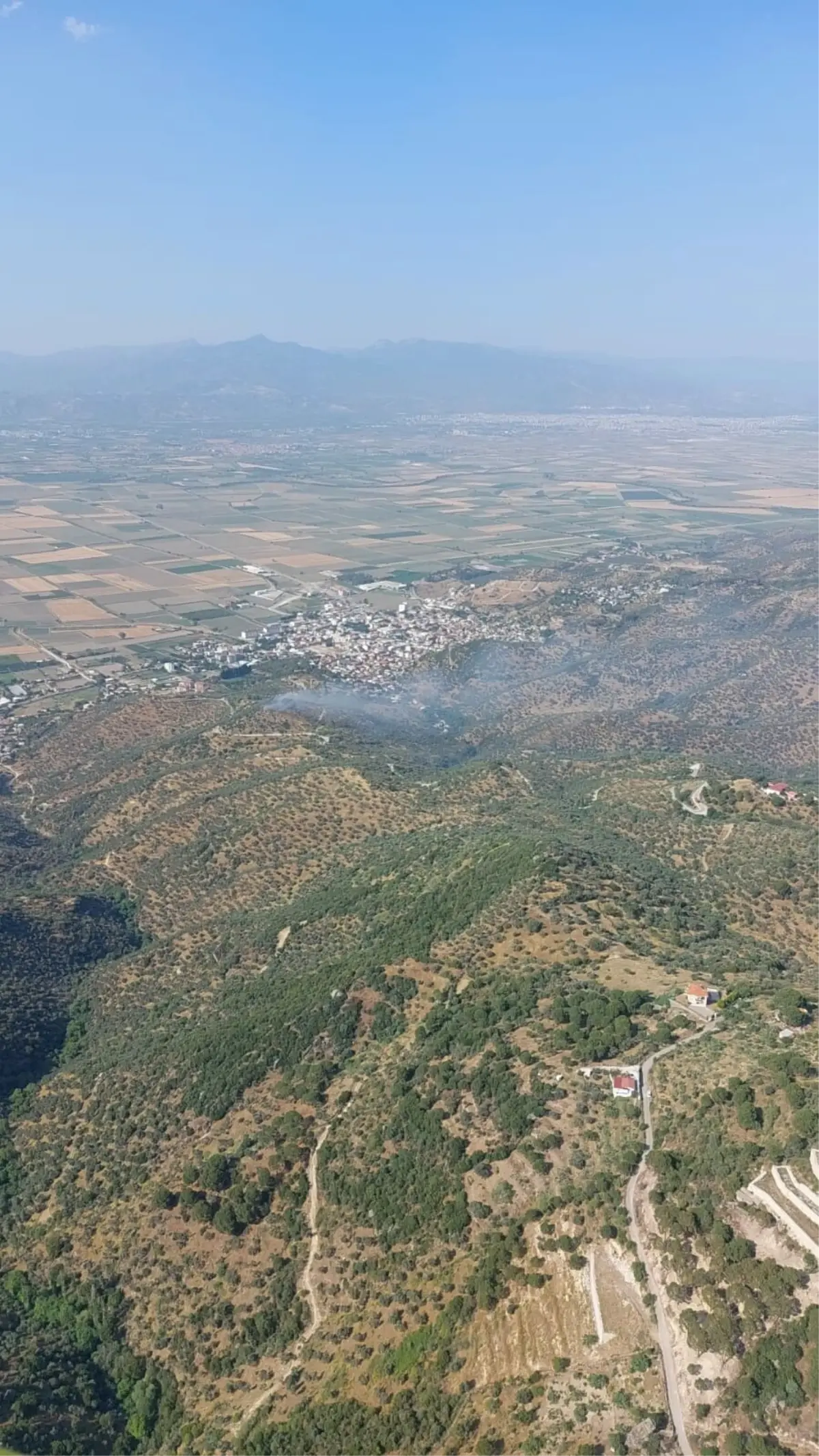 aydinda-zeytin-agaclariyla-kapli-tarim-yerinde-yangin-NJiOKNFR.jpg