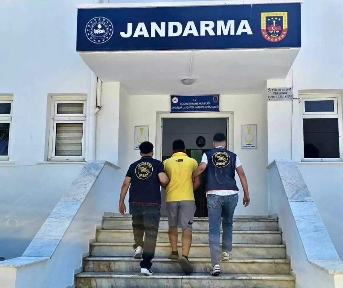 bodrumda-hirsizlik-suphelisi-jandarma-tarafindan-yakalandi-Gz58Mf64.jpg