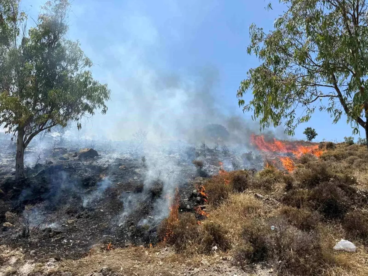 bodrumda-makilik-alanda-yangin-cikti-7saDyFqP.jpg