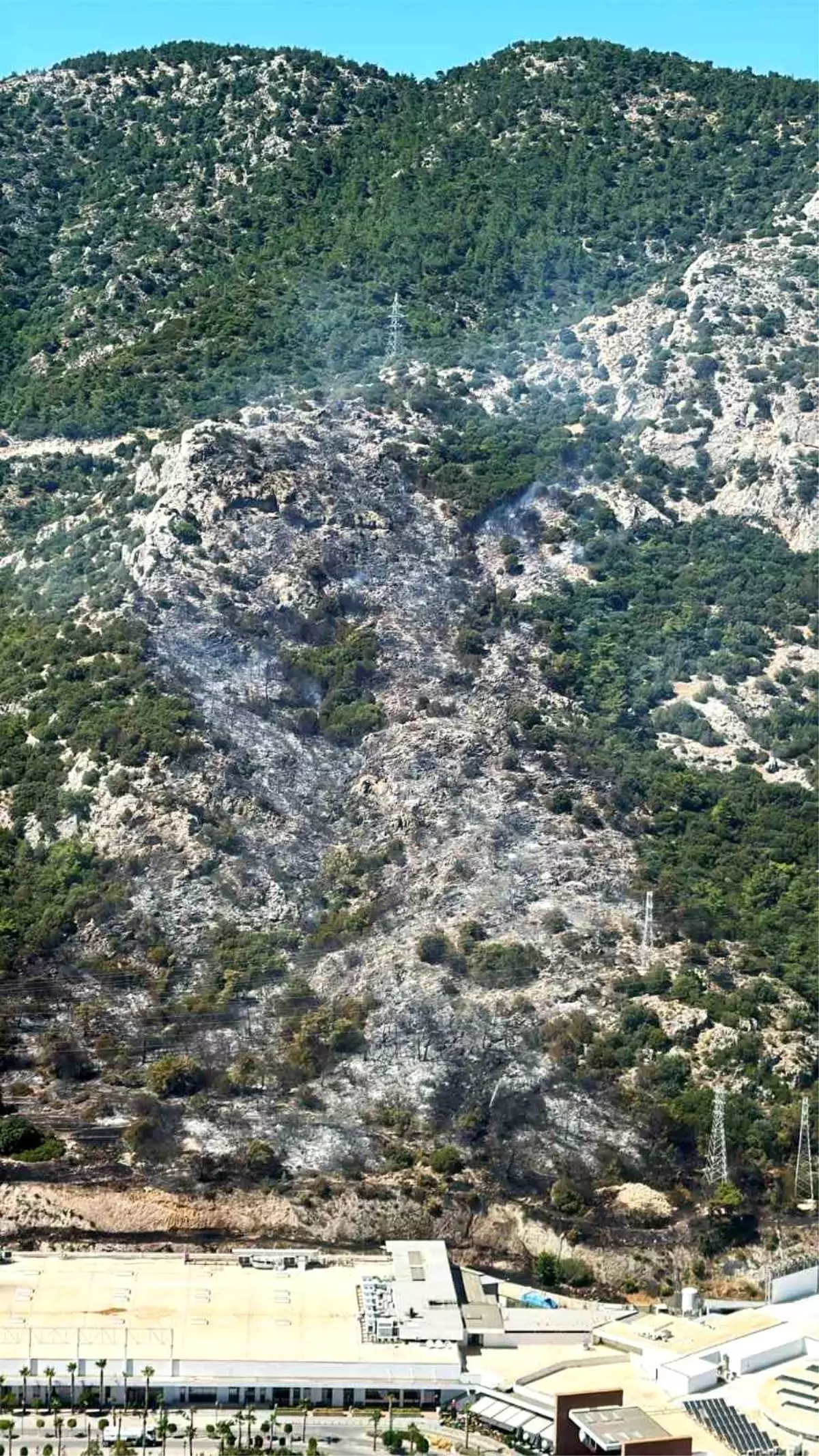 bodrumda-orman-yangini-denetim-altina-aliniyor-Uwi41FFK.jpg
