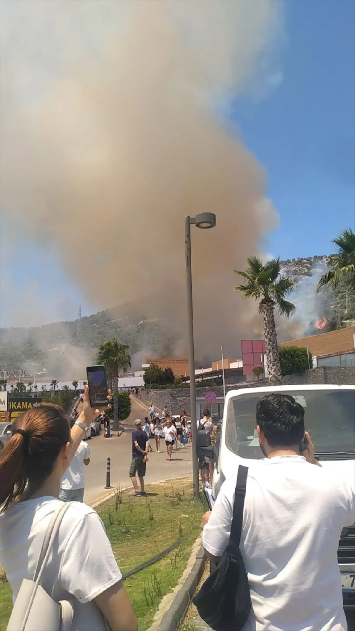 bodrumda-orman-yangini-havadan-ve-karadan-caba-baslatildi-9lJxWxRW.jpg
