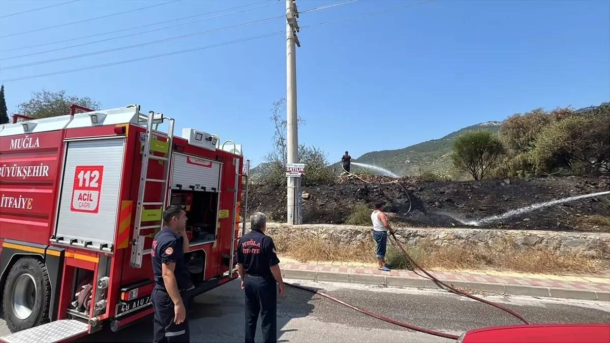 bodrumda-otluk-alanda-yangin-denetim-altina-alindi-eCM8DRan.jpg