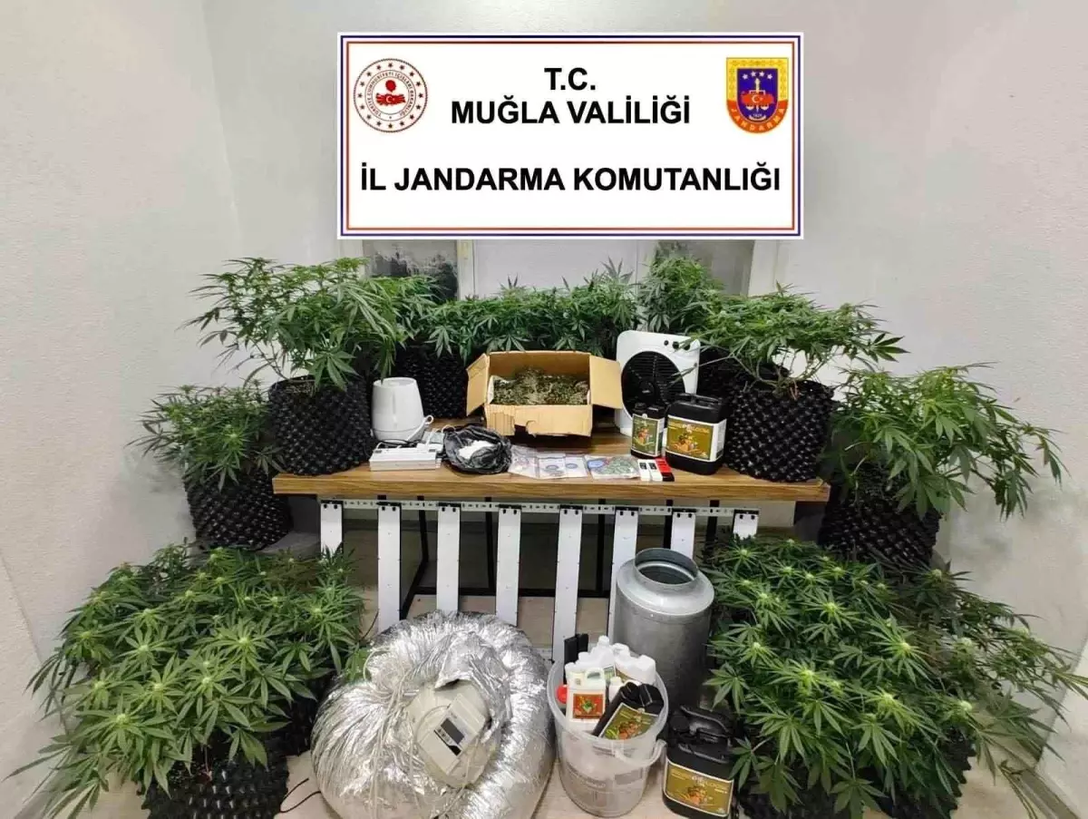 bodrumda-uyusturucu-operasyonu-2-gozalti-cok-olcude-husus-ele-gecirildi-WLHPJ1Wv.jpg