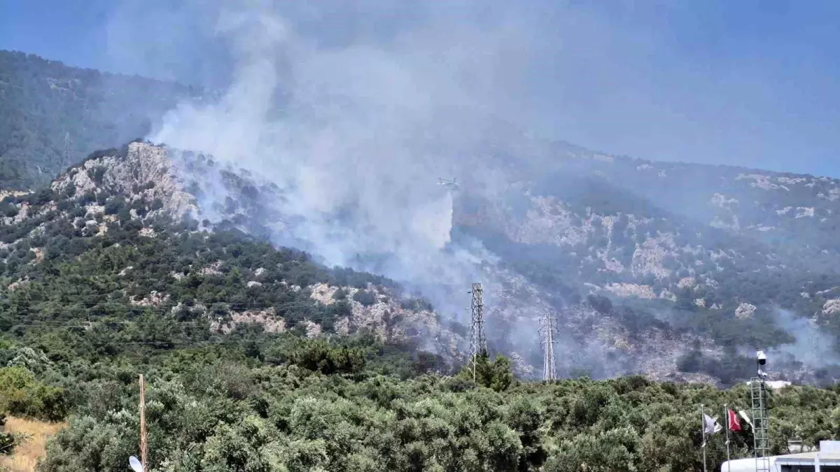 bodrumda-yangin-4-hektar-alan-ziyan-gordu-RcD4yt9I.jpg