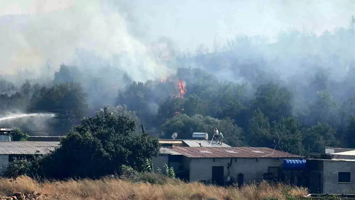bodrumda-yangin-panigi-takimlar-akinda-7yt2km1m.jpg