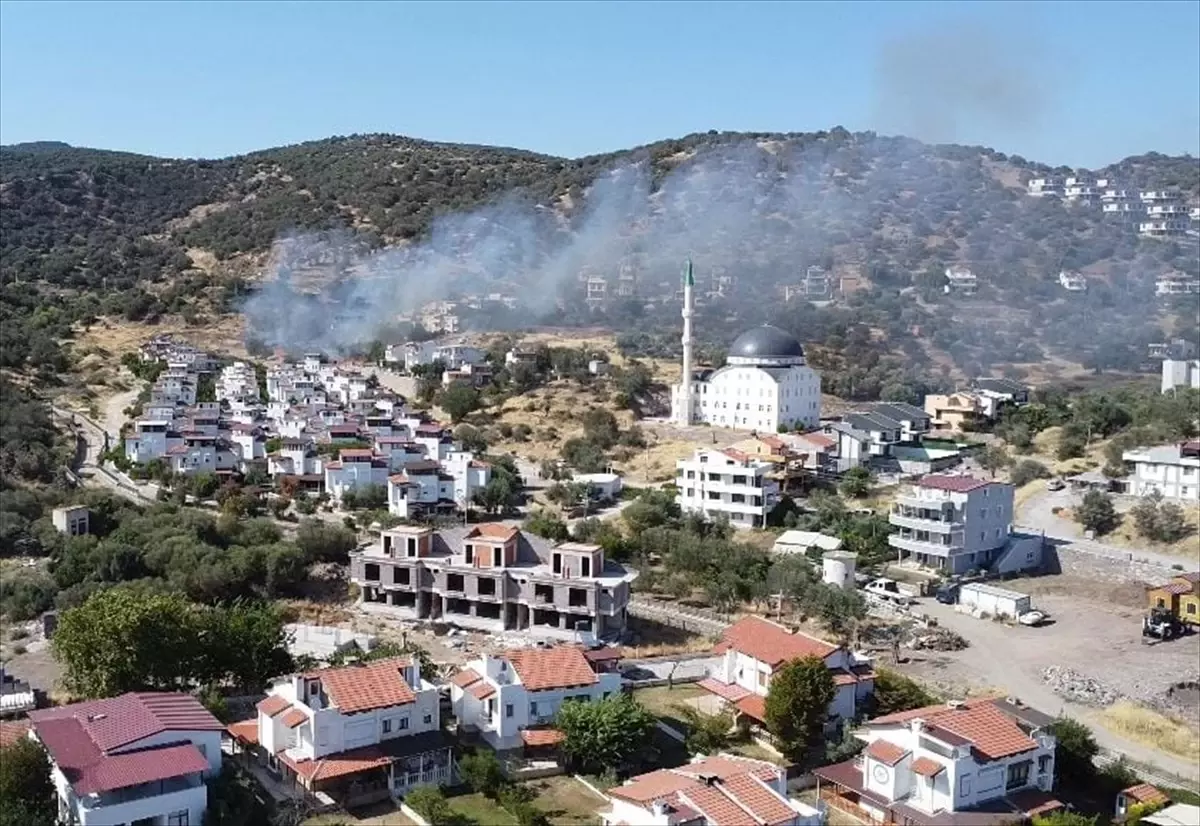 dikilide-makilik-yanginina-gruplar-mudahale-ediyor-S3y4fgIF.jpg