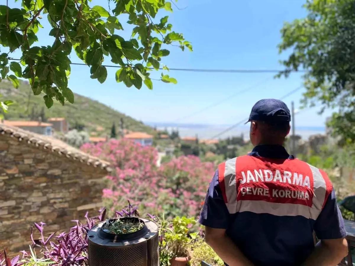 doganbey-mahallesinde-yanginlara-karsi-bilgilendirici-brosur-dagitildi-Yt6tcZn4.jpg