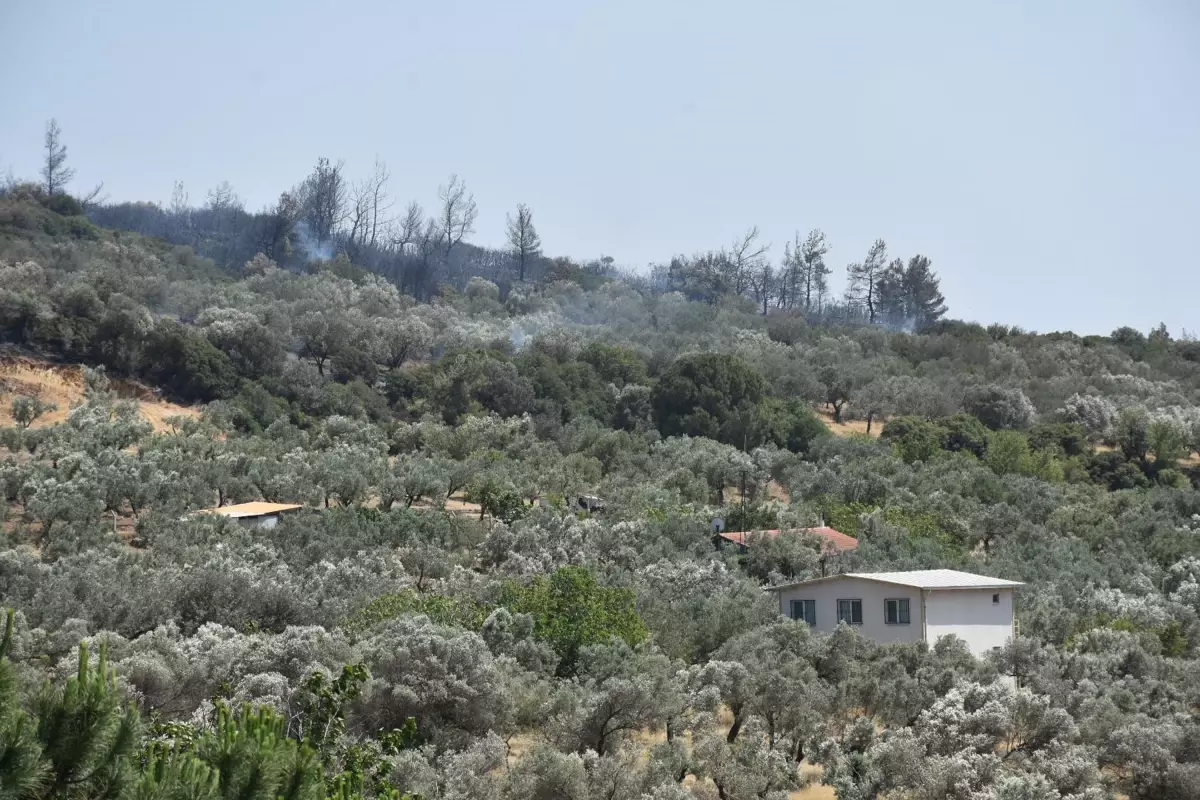 focadaki-orman-yangini-denetim-altina-alindi-i24X57d3.jpg
