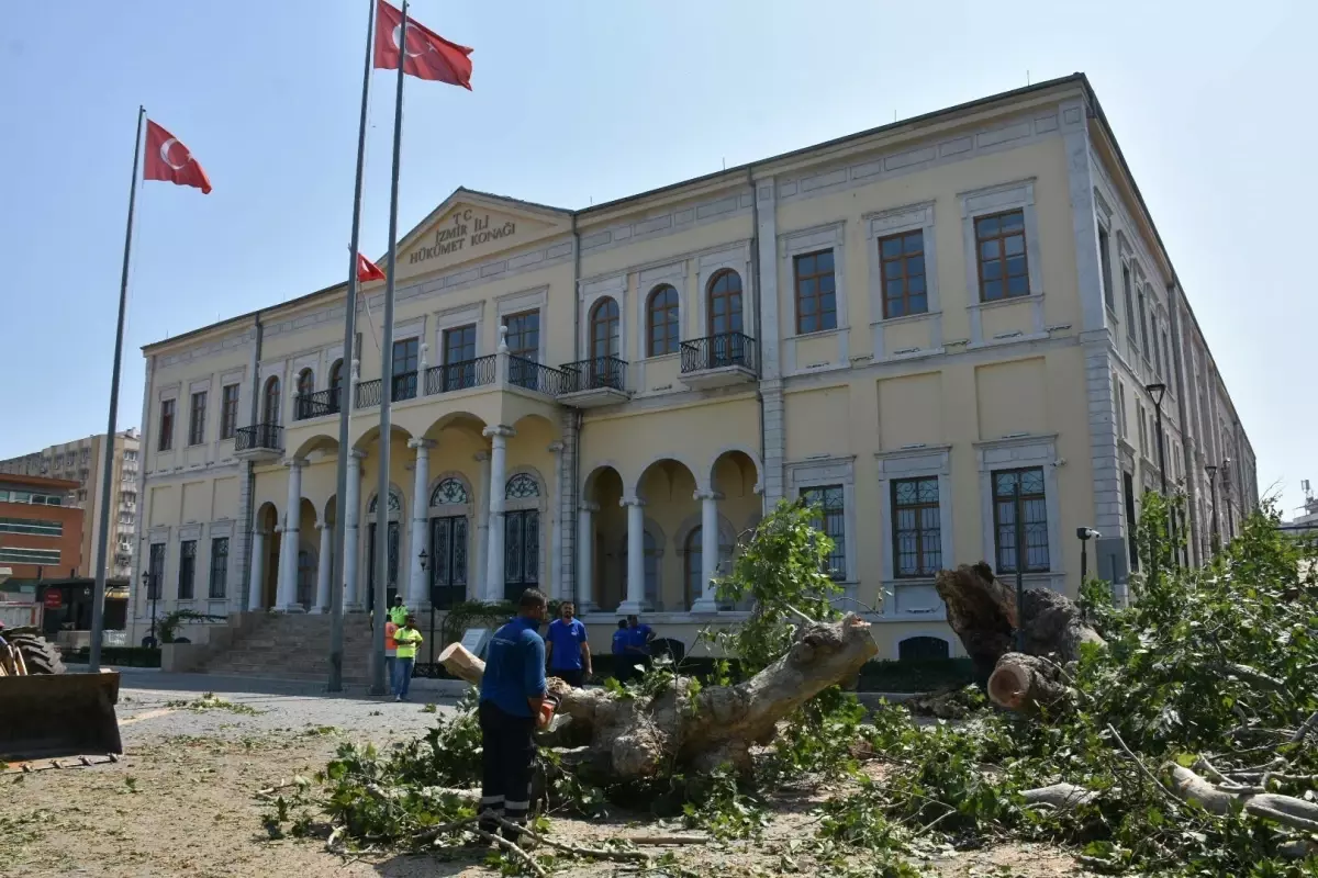 izmir-valiligi-onundeki-asirlik-cinar-devrildi-FkxSNKwg.jpg
