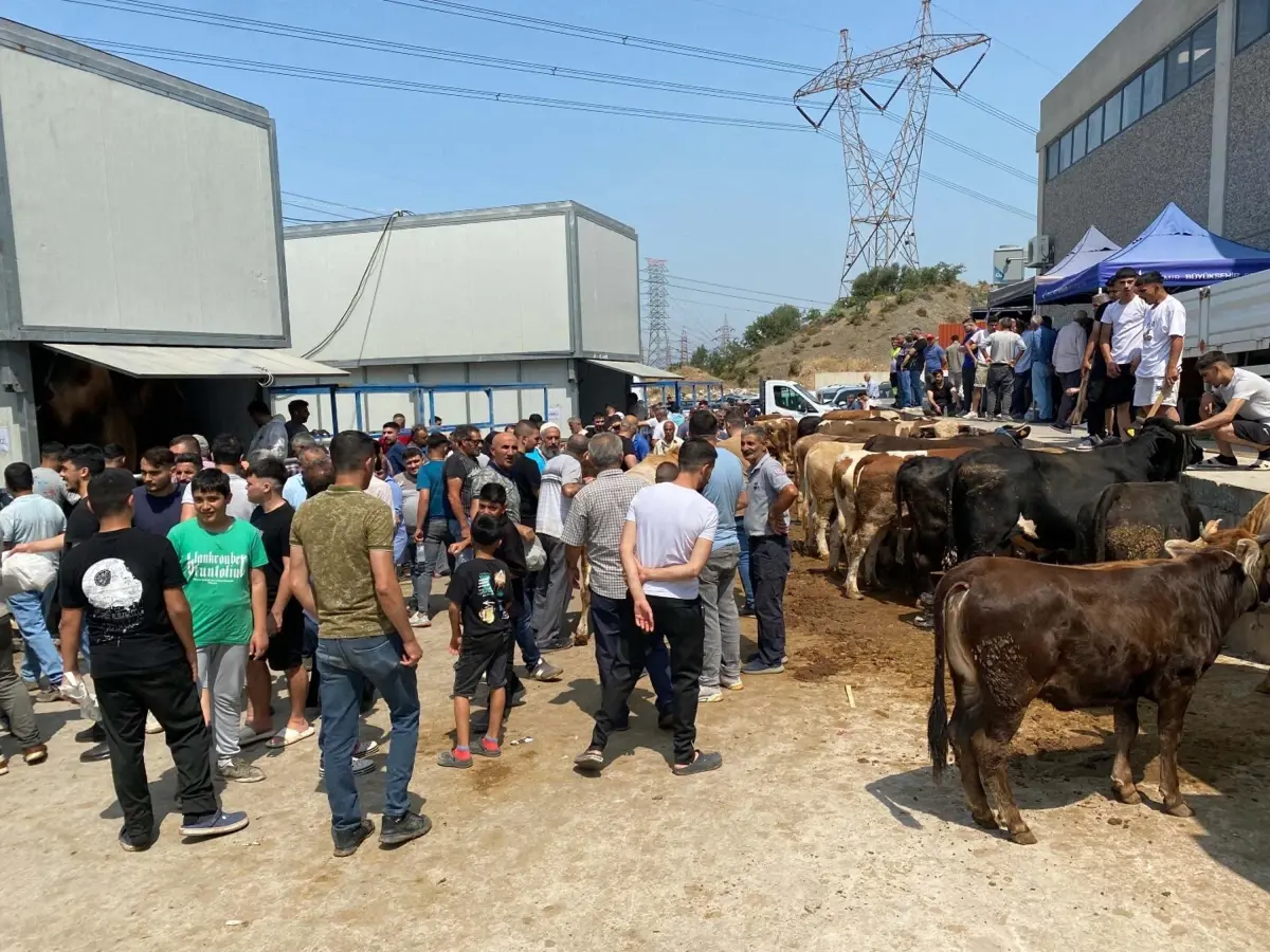 izmirde-kurban-bayrami-yogunlugu-mSF7PjRE.jpg