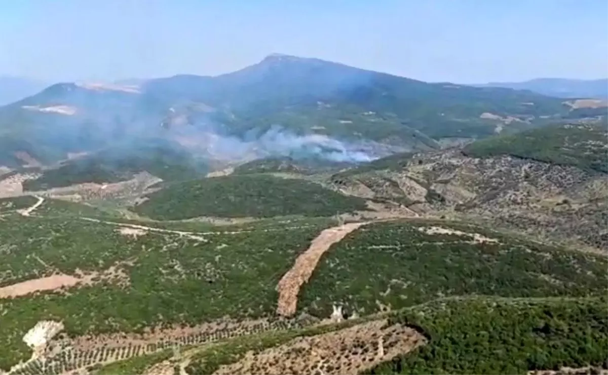 izmirde-orman-yanginina-hava-ve-kara-mudahalesi-9V2RAnpF.jpg