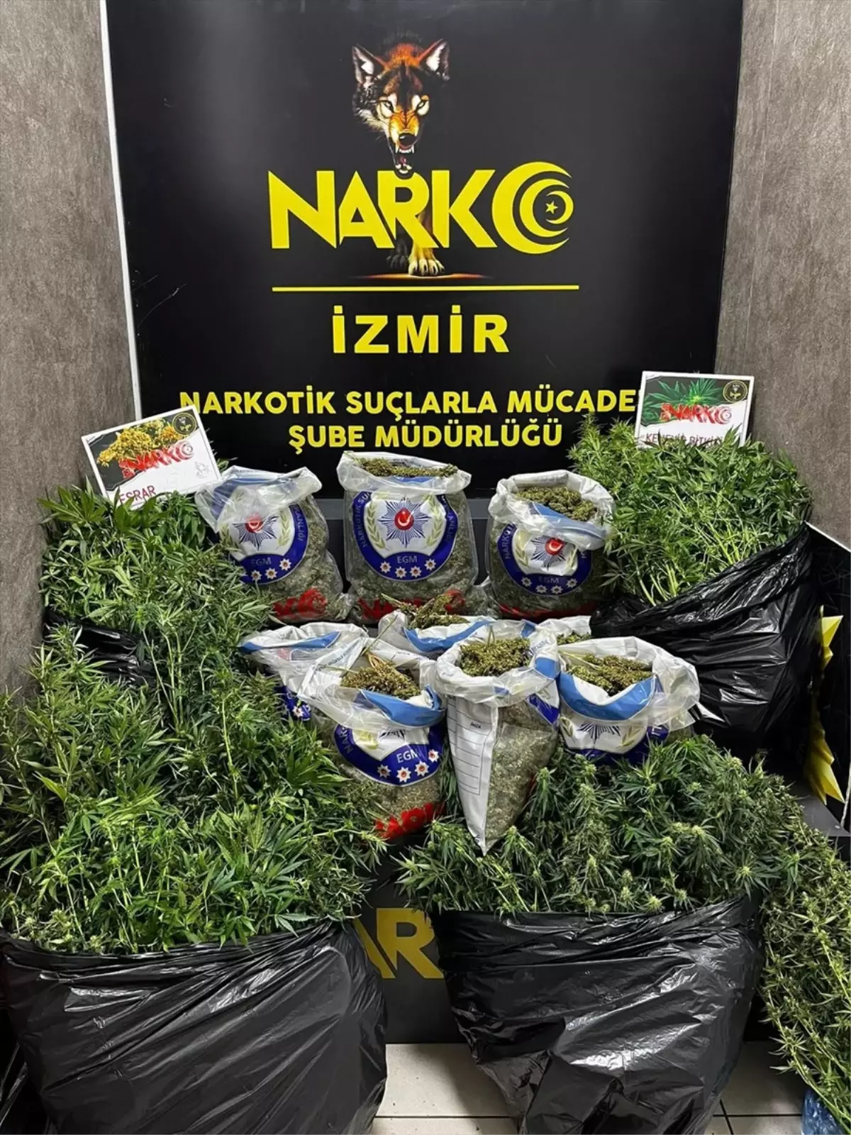 izmirde-uyusturucu-ticareti-operasyonu-6-kuskulu-tutuklandi-Sczyv8hd.jpg