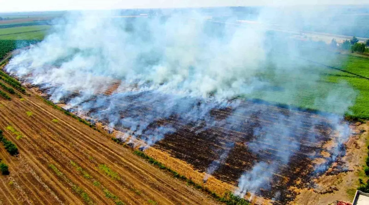 karacasuda-aniz-yakma-uygulamasina-karsi-onemli-ikazlar-7hzfPirJ.jpg