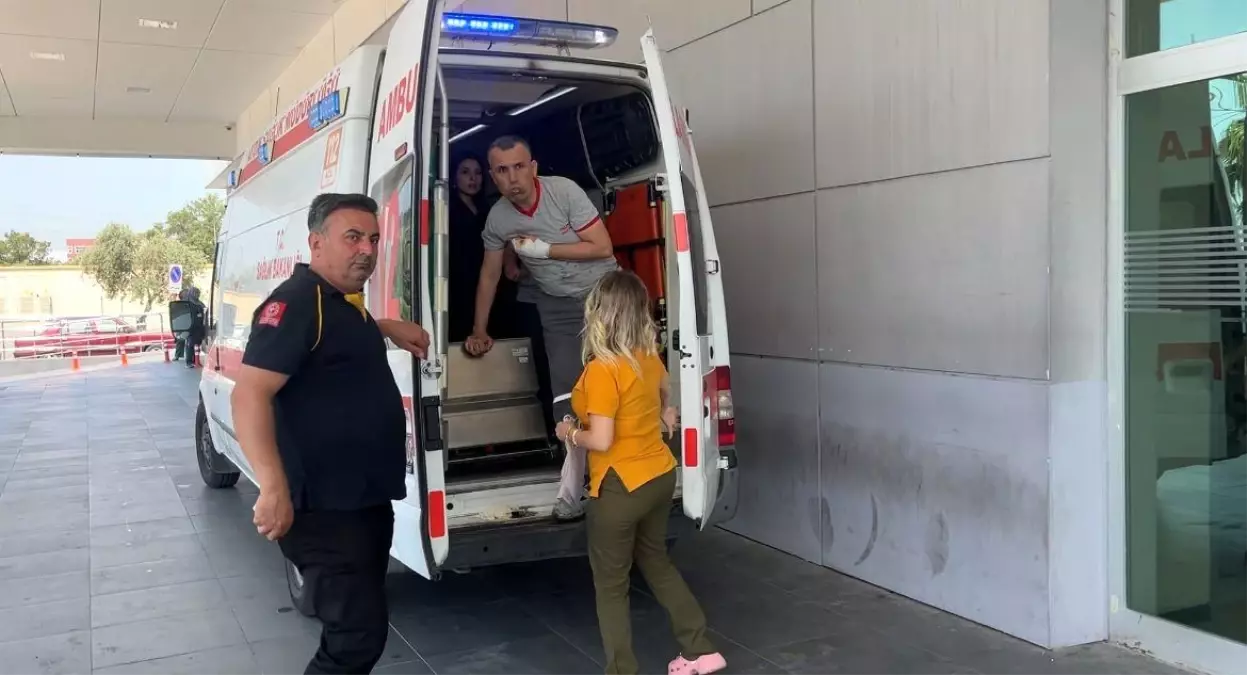 kurban-bayraminda-aydinda-acemi-kasaplar-hastanelere-akin-etti-VV6JPQnh.jpg