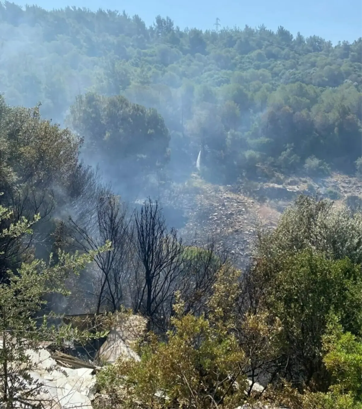 kusadasindaki-orman-yangini-denetim-altina-alindi-w51OLRZ2.jpg