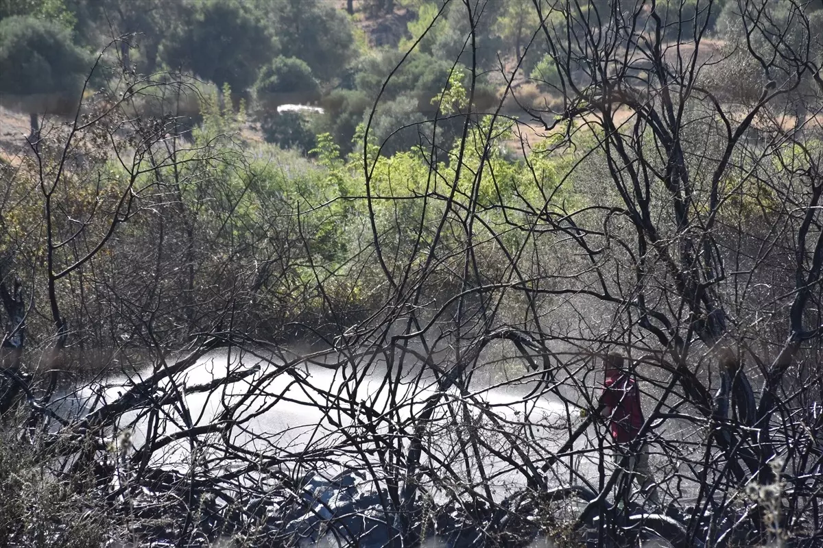 marmariste-orman-yangini-denetim-altina-alindi-6H53jIKj.jpg