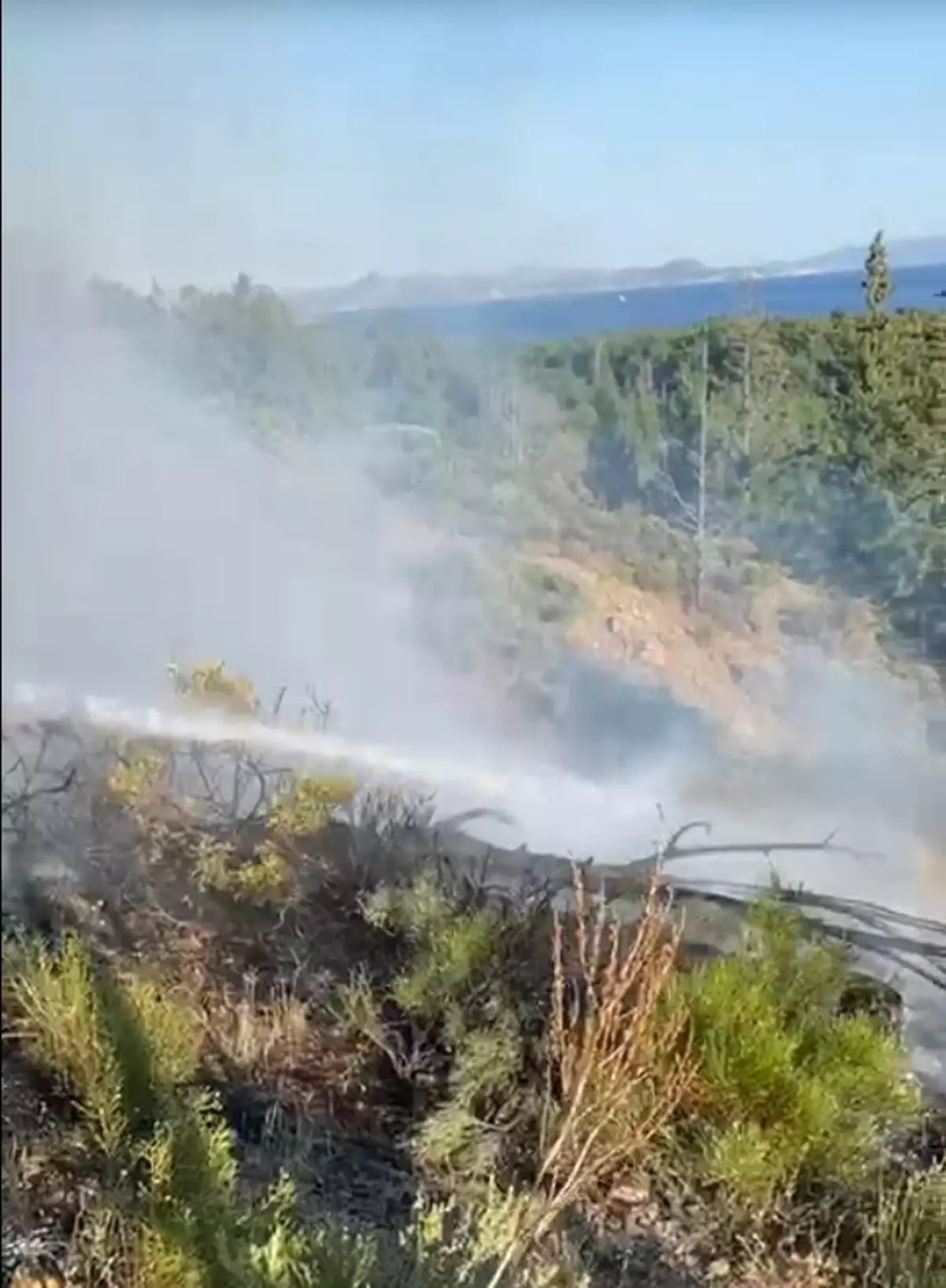 mugla-ve-aydinda-uc-baska-orman-yangini-denetim-altina-alindi-xJgaHmGc.jpg