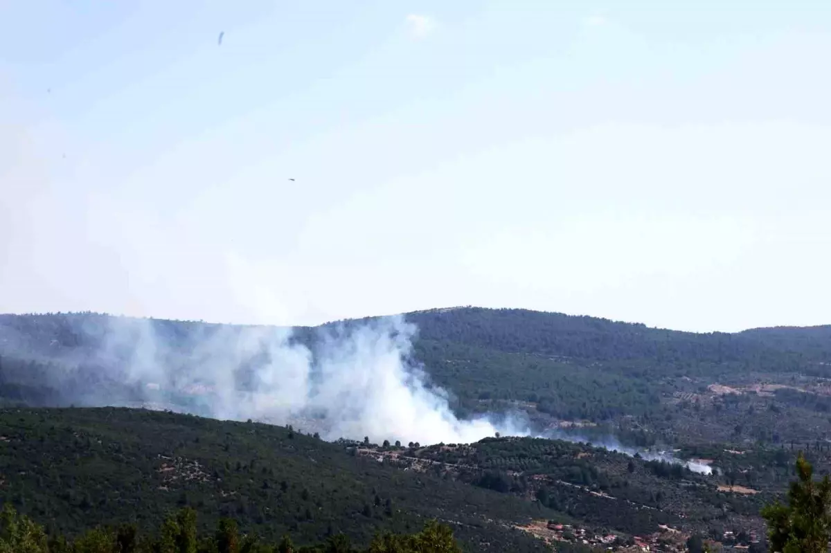 muglada-tarim-yerinde-baslayan-yangin-ormani-tehdit-ediyor-budQkk2I.jpg