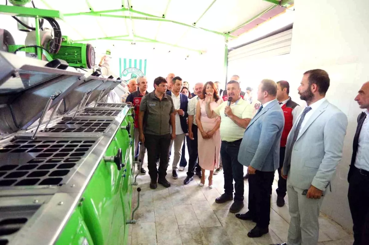 muglada-zeytinyagi-aktifligi-ve-kalite-yarisi-duzenlendi-wzBpxlFg.jpg