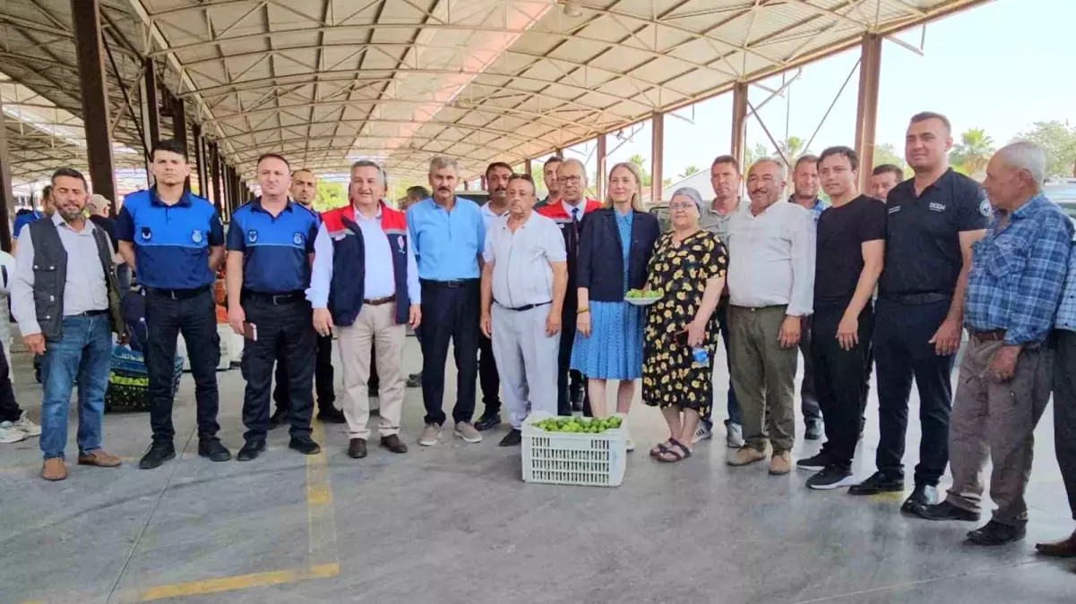 nazillide-incir-uretiminin-temel-etabi-ilekleme-donemi-basladi-iISRstfx.jpg
