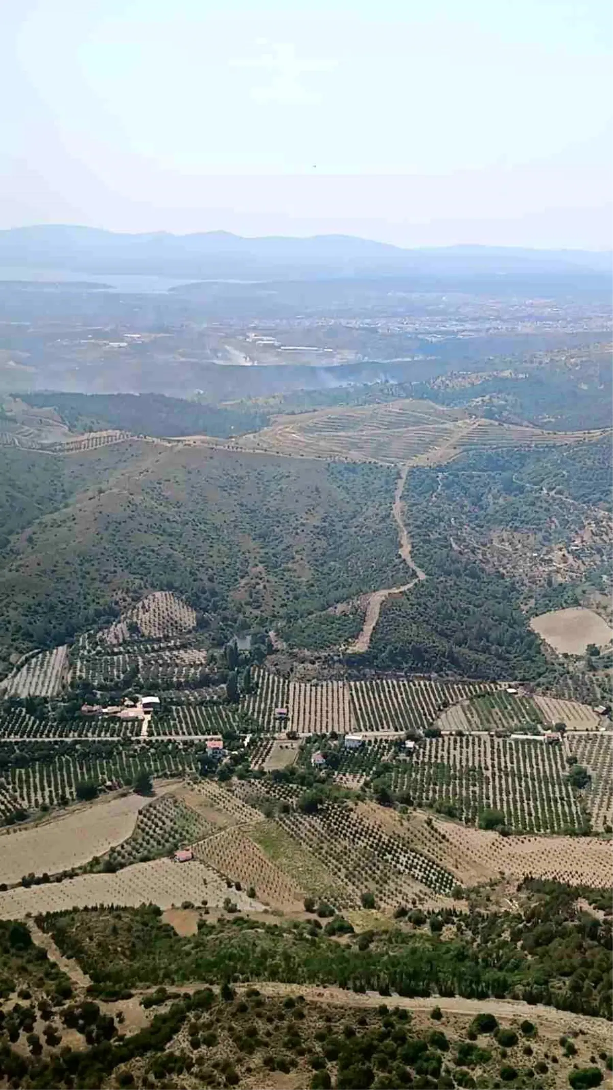 seferihisarda-orman-yangini-denetim-altina-alindi-BUIbY5vP.jpg