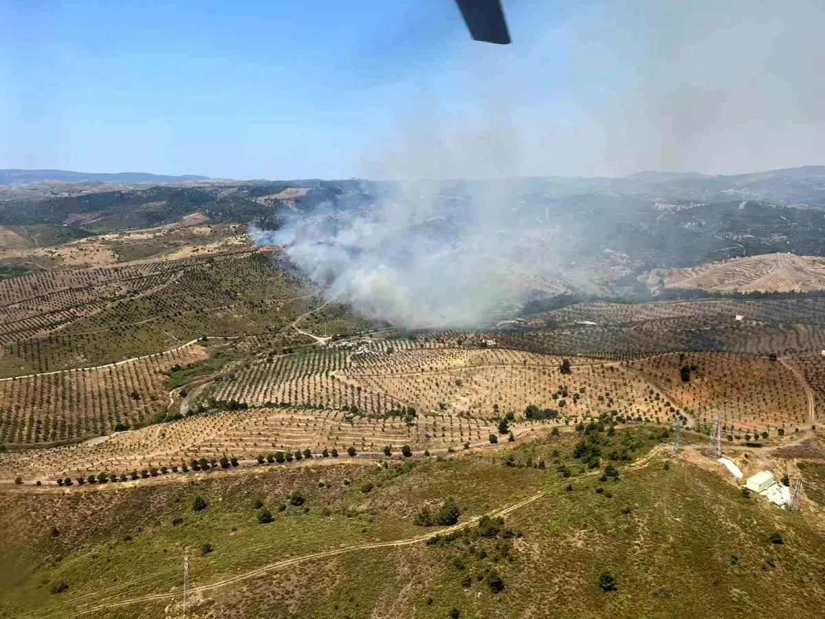 seferihisarda-orman-yanginina-hava-ve-kara-mudahalesi-mmhAahwd.jpg