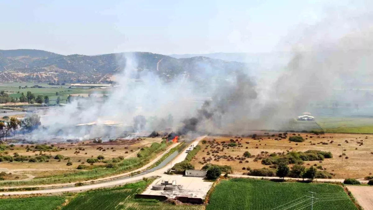 aydinda-ciftligi-tehdit-eden-yangin-denetim-altina-alindi-7t9FSnvX.jpg