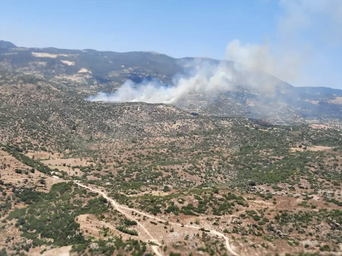 aydinda-yangina-hava-ve-karadan-mudahale-kx77S6M8.jpg