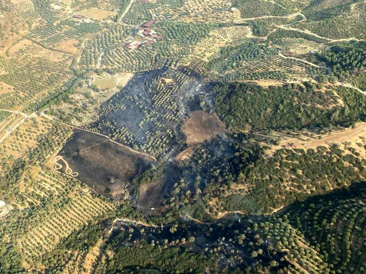 aydinda-zirai-alanda-yangin-denetim-altina-alindi-AtAXJjP8.jpg