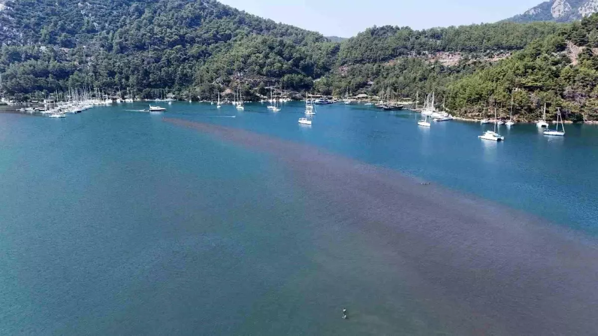kizkumu-plaji-yerli-ve-yabanci-turistlerin-gozdesi-q6Fc4bFY.jpg