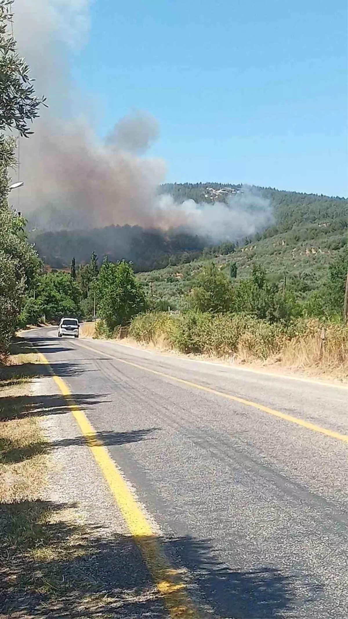mugla-mentesede-orman-yangini-7tl2cfkr.jpg