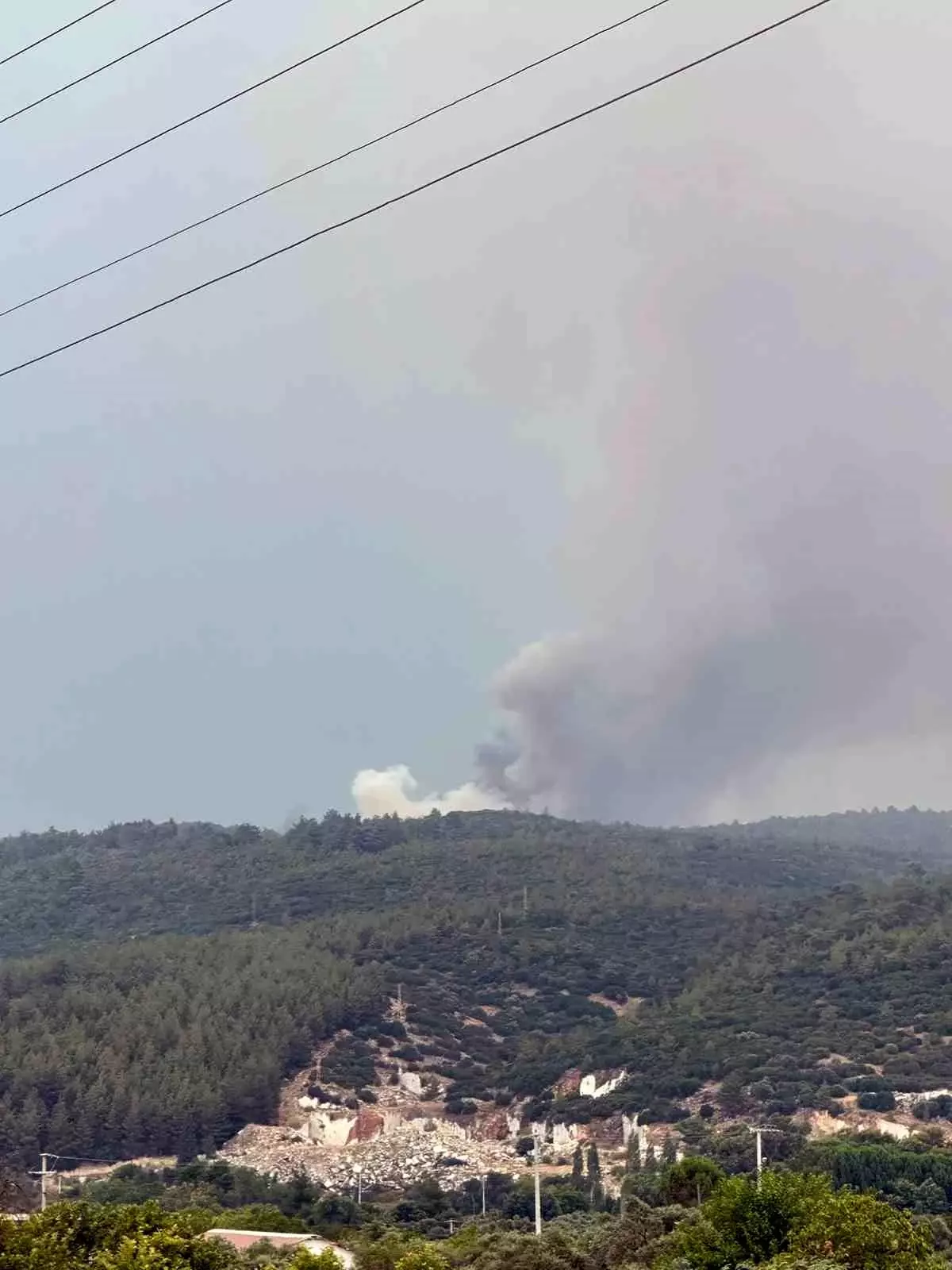 muglanin-yatagan-ilcesinde-yildirim-kaynakli-orman-yangini-SGJxBR3a.jpg