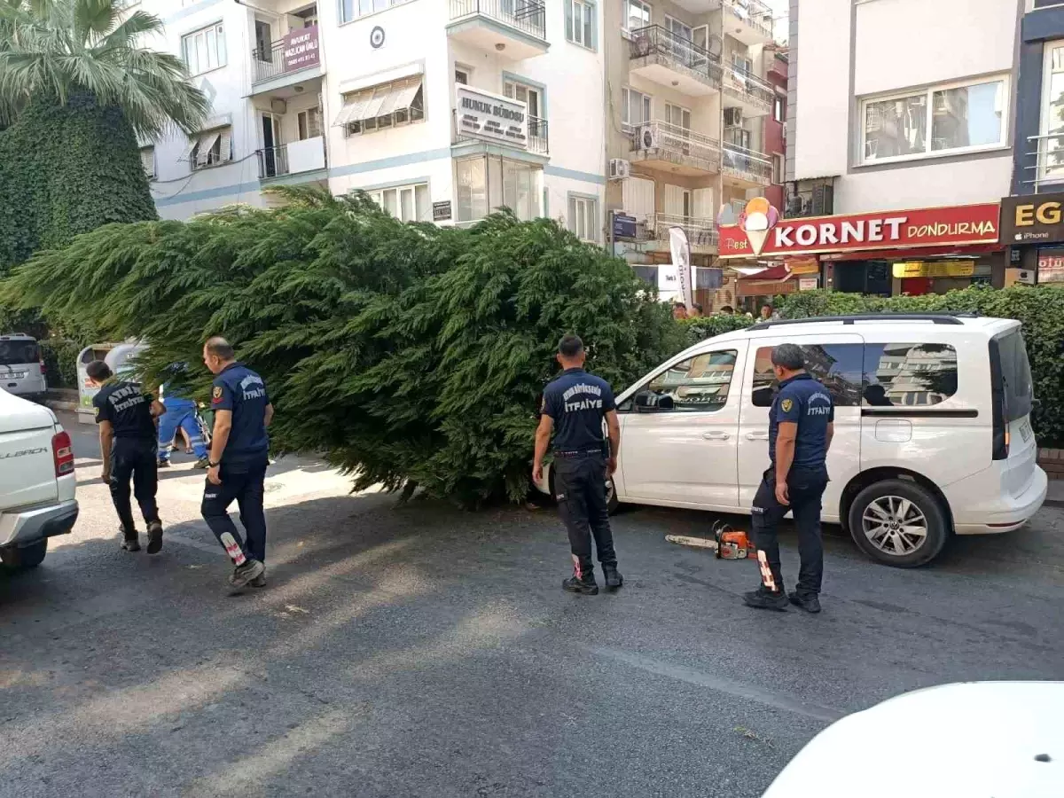 aydinda-kuruyan-agac-park-halindeki-aracin-uzerine-devrildi-aVRgzNqG.jpg