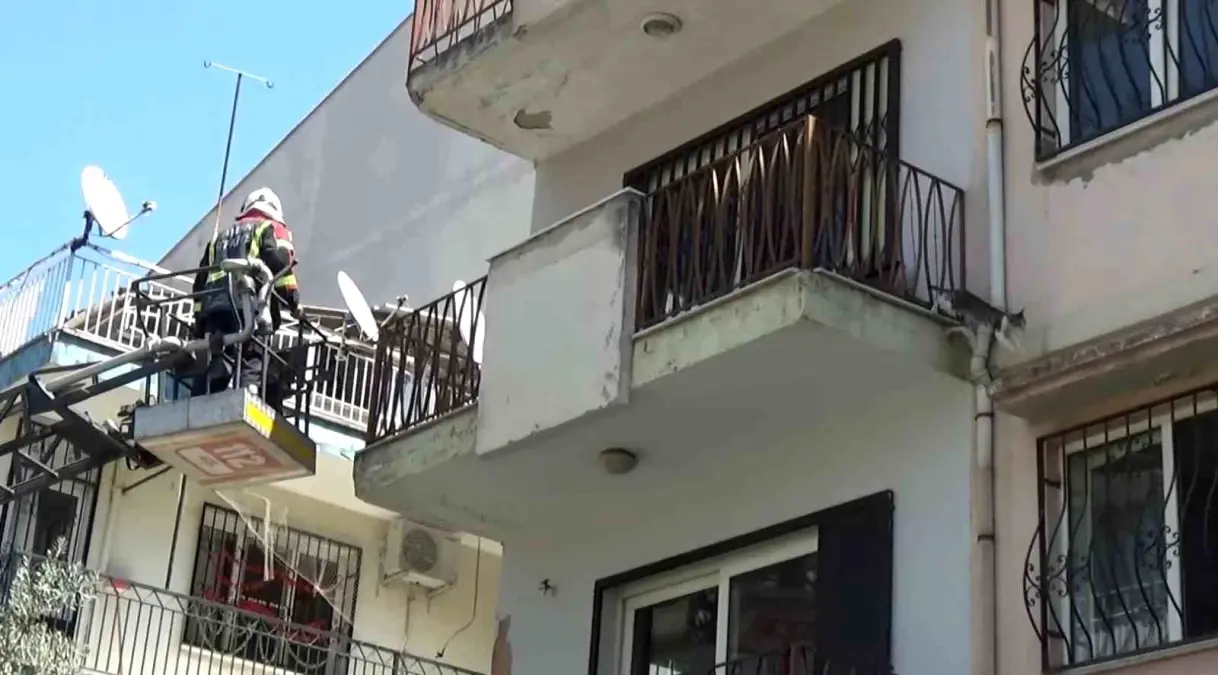 aydinda-mahsur-kalan-kedi-itfaiye-takimlarinin-gelmesini-beklemeden-kacti-VfdafwTu.jpg