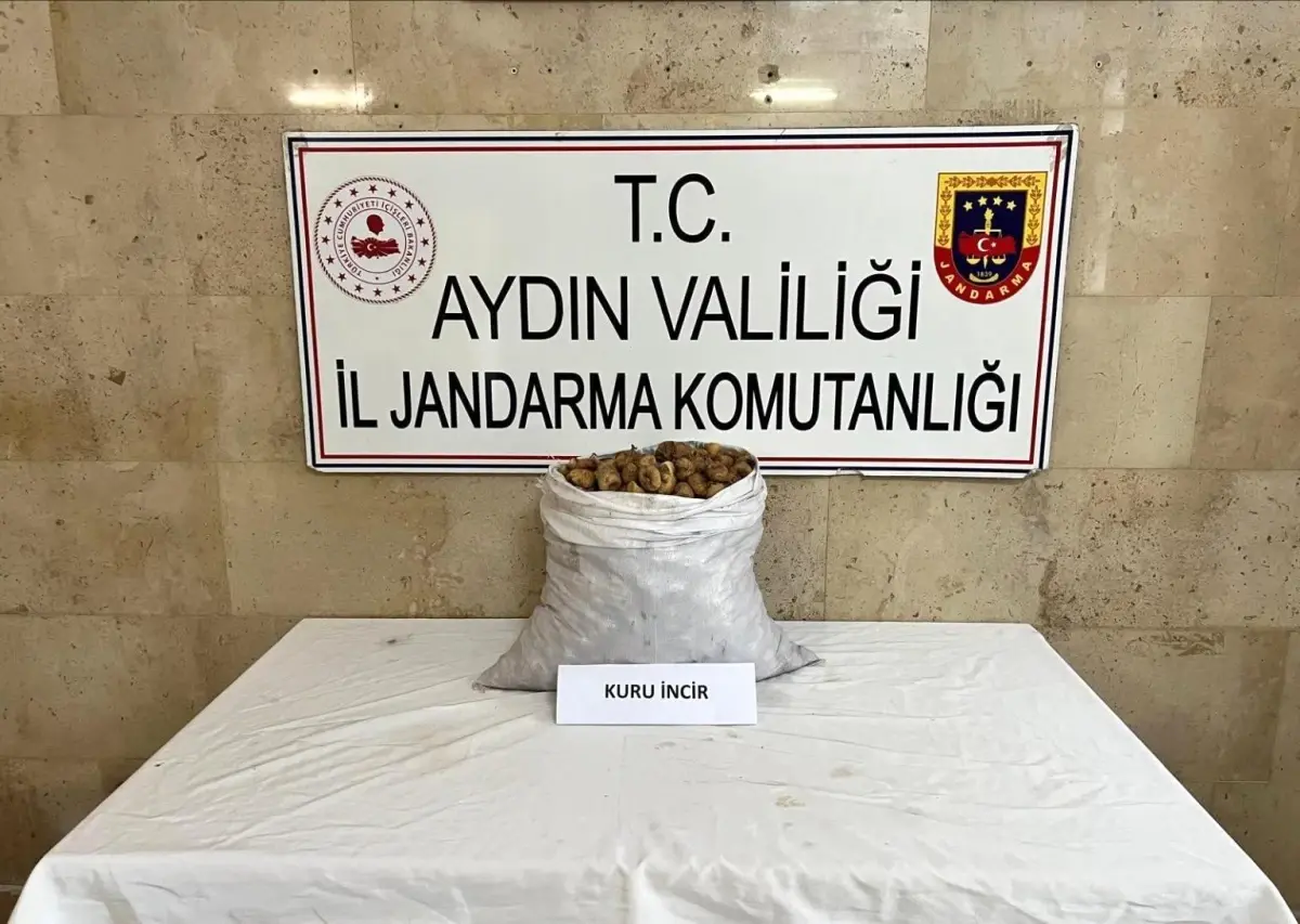 aydinda-motosikletle-50-kilo-incir-calan-sahis-yakalandi-EBrrwzyU.jpg