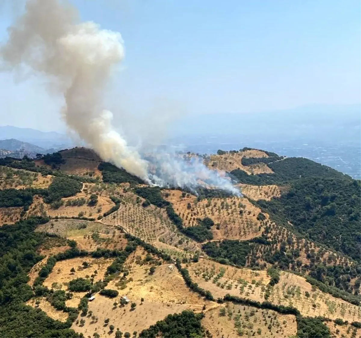 aydinda-zirai-alanda-yangin-cikti-nEl51qAk.jpg