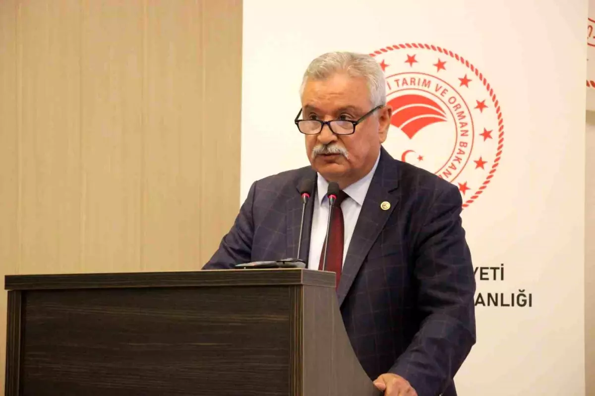 incir-agaclari-da-zeytin-uzere-korunmali-rSibzPLg.jpg