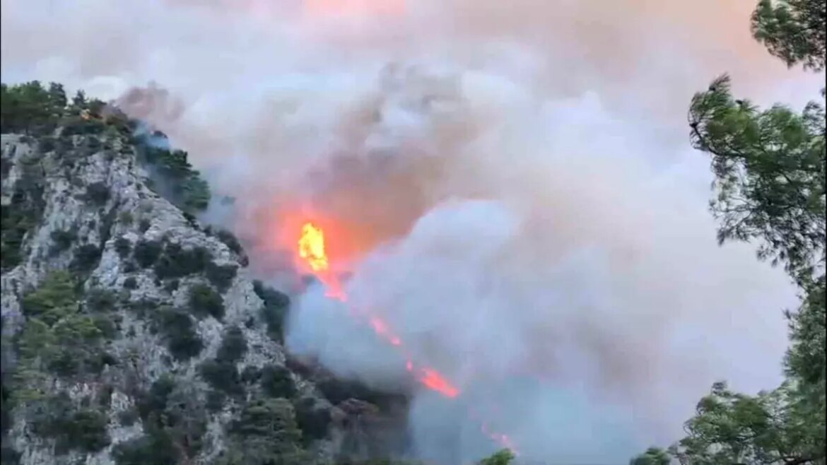 muglada-orman-yanginlariyla-gayret-basladi-NT7fBzgm.jpg